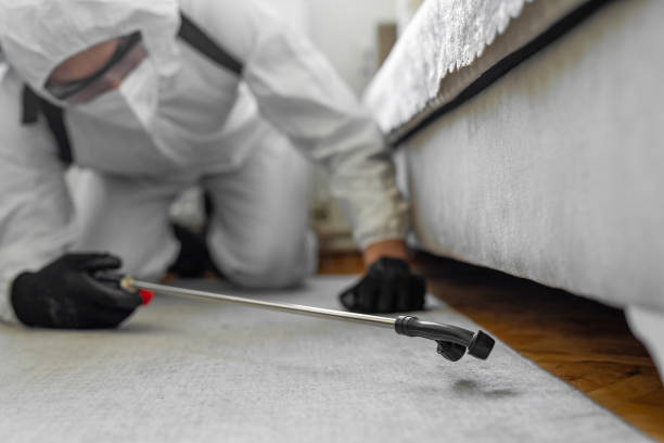 Professional Termite Control technician working in Sealy, TX