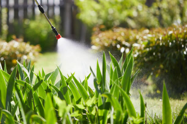 24/7 Emergency Termite Control experts in Sealy, TX